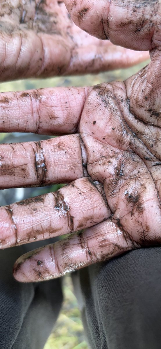 Clarty gardening hands. Love to seep them in the soil. A moments peace and solace found in solo time with the earth in the community garden #SmallActsOfResistance #WaysToKeepYourselfGoing #WeCanMakeADifference #DoItNow
