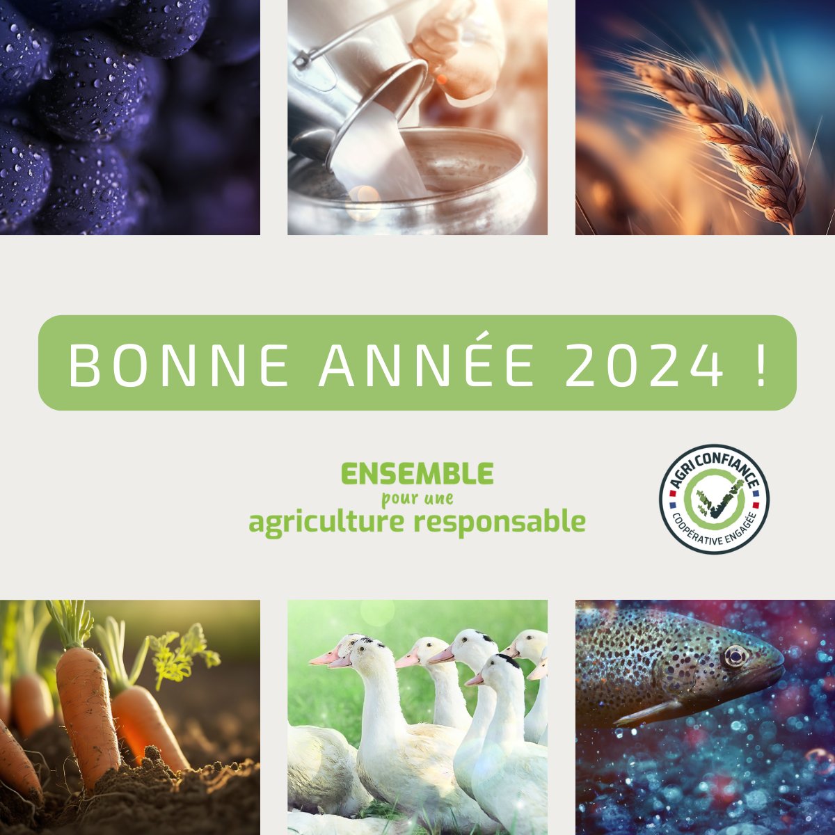 En cette nouvelle année, nos vœux les plus chaleureux à toutes nos coopératives et partenaires Agri Confiance, qu'ils soient déjà présents ou à venir! Que cette année soit synonyme de réussite.🚜💚 #BonneAnnée #AgriConfiance #EnsemblepouruneAgricultureResponsable
