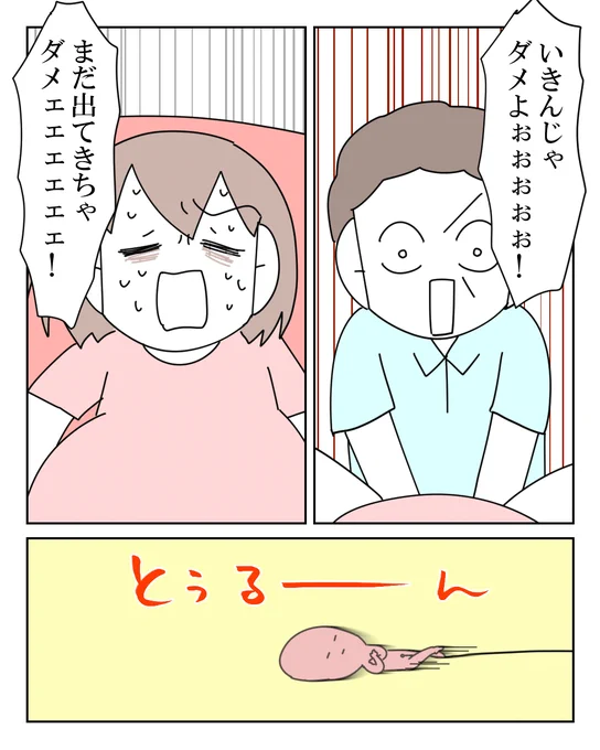 人間を産み落とす事はひとつのドラマ 11/12