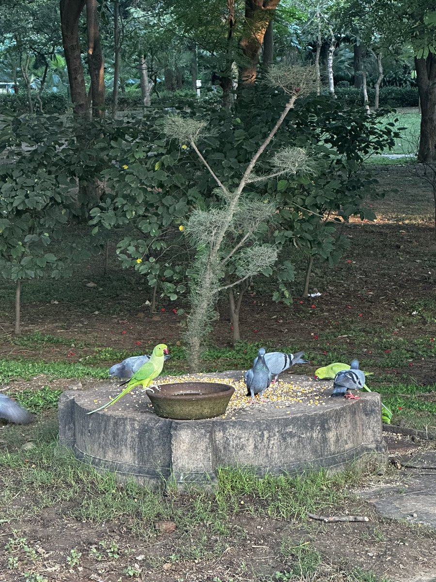 nehabhattherapy's tweet image. Quiet musings as we watch the world churn #therapyreflections