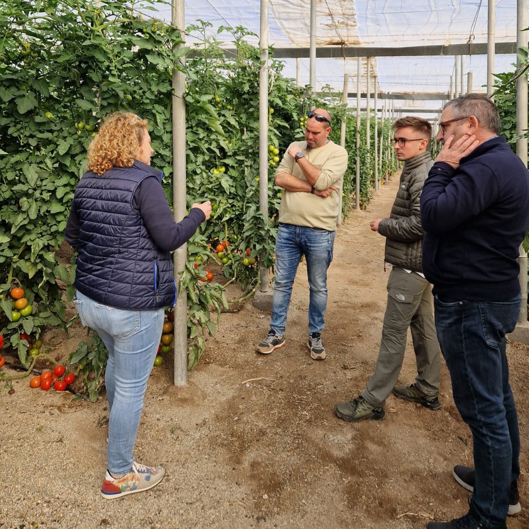 YaraIberian's tweet photo. 🚜 El #campo no entiende de festivos ni vacaciones.  

📌 Interesante jornada con nuestros amigos de @Prodelesa y #HortícolasMorán, con visita a nuestra planta de #Almería y a #invernaderos de tomate.  

📸 Ana Gómez.  

#Agricultura #KnowledgeGrows https://t.co/fLaxCKUbAy