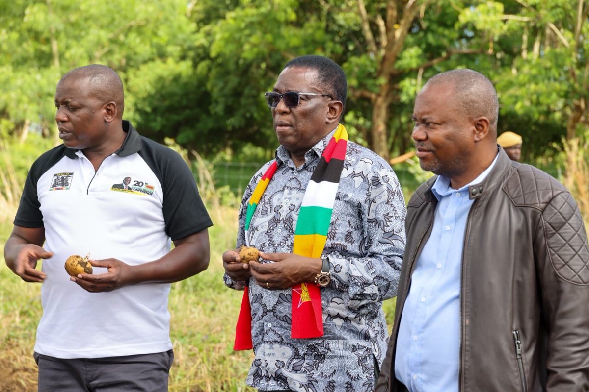 President of Zimbabwe tweet media