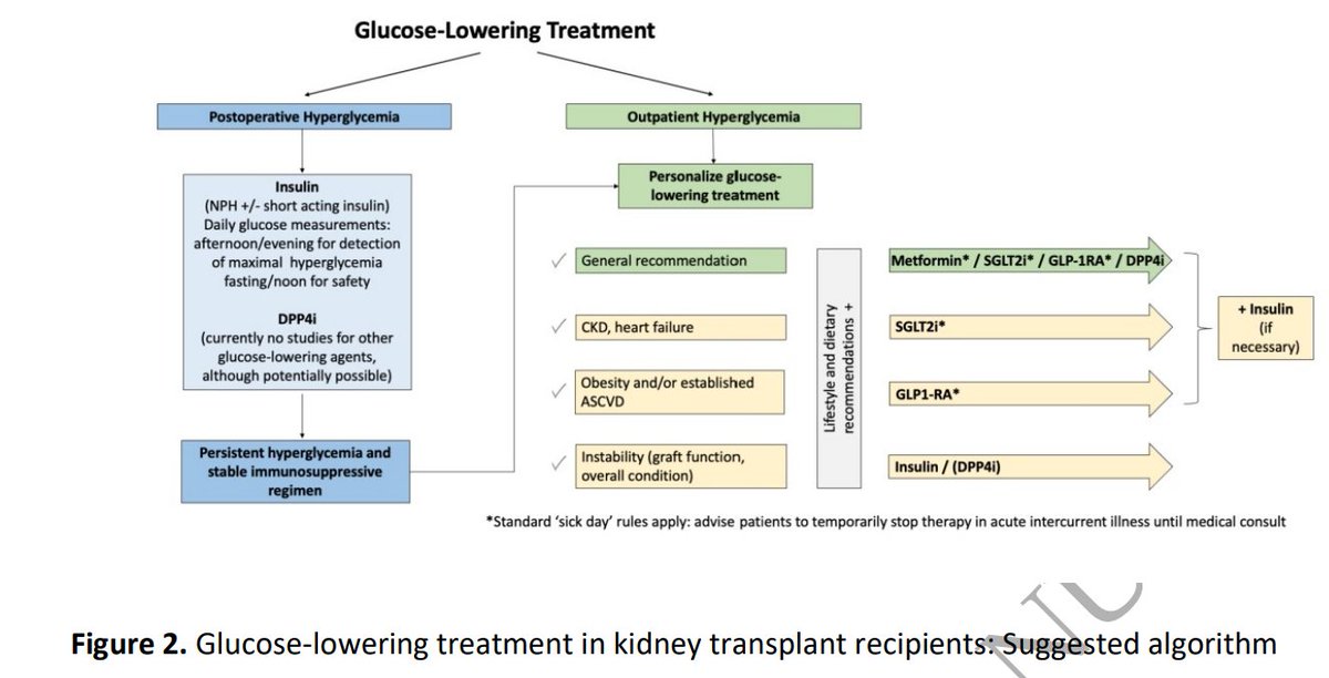NDT (@ndtsocial) on Twitter photo International consensus on post-transplantation diabetes mellitus
🔓doi.org/10.1093/ndt/gf… International consensus on post-transplantation diabetes mellitus
🔓doi.org/10.1093/ndt/gf…