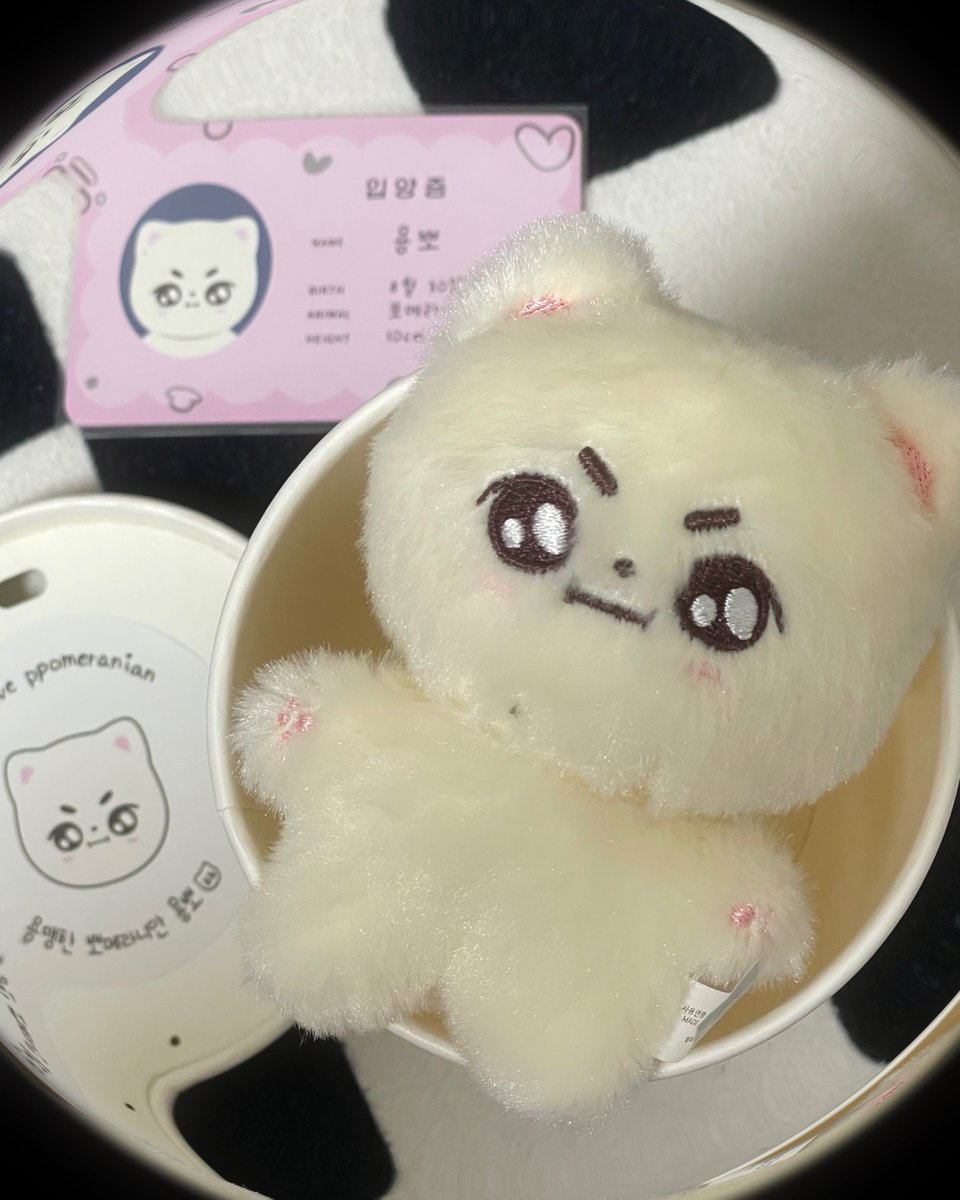 vin8_30's tweet photo. 규빈이랑 똑닮은 용뽀 기여움 830%🤍🤍 https://t.co/lemN7ACmhc