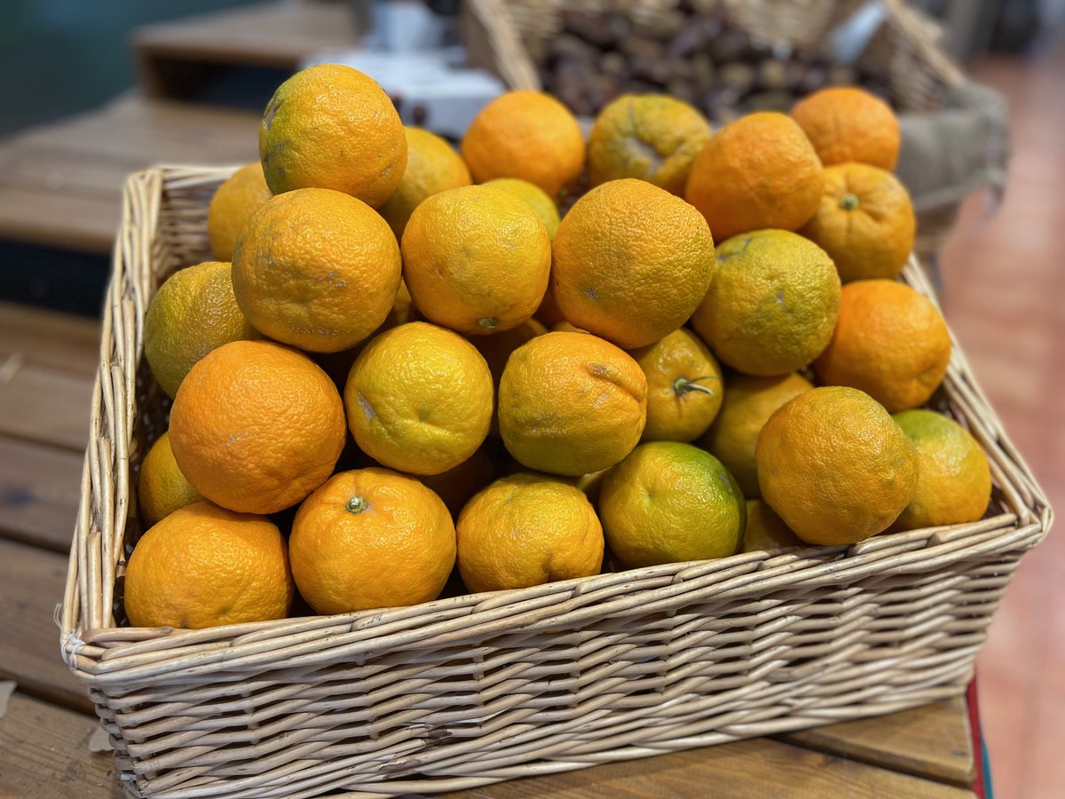 Bury Lane January 2024 Newsletter - mailchi.mp/burylanefarmsh…