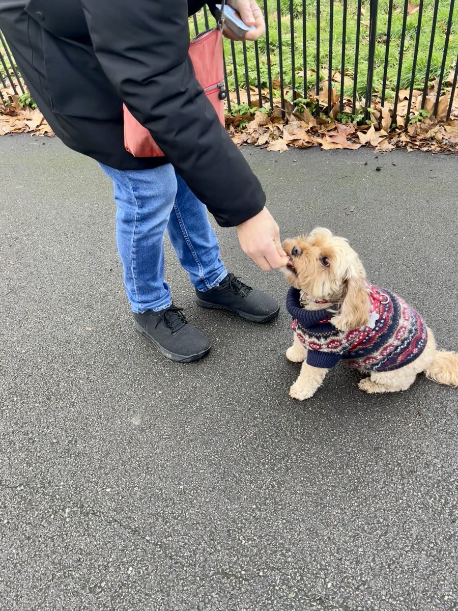 TheHoneyTails's tweet photo. The guy got this in his stocking for Christmas - I’m very pleased to say he knows exactly what it’s for ⭐️
#ME
#PupPresents https://t.co/WjIEyLBhBW