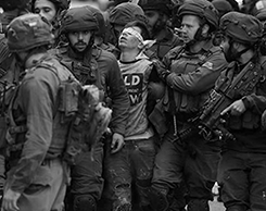 Rumbo a Gaza tweet media