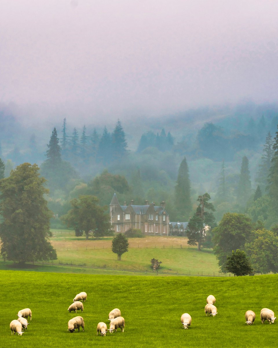 How nice does a #getaway in the #Highlands sound right about now? Read all about it in our latest article ✨

➡️easyvoyage.co.uk/news/article-3…

📷 Sharique Qureshi / <a href="/Shutterstock/">Shutterstock</a>

#scotland #Travel