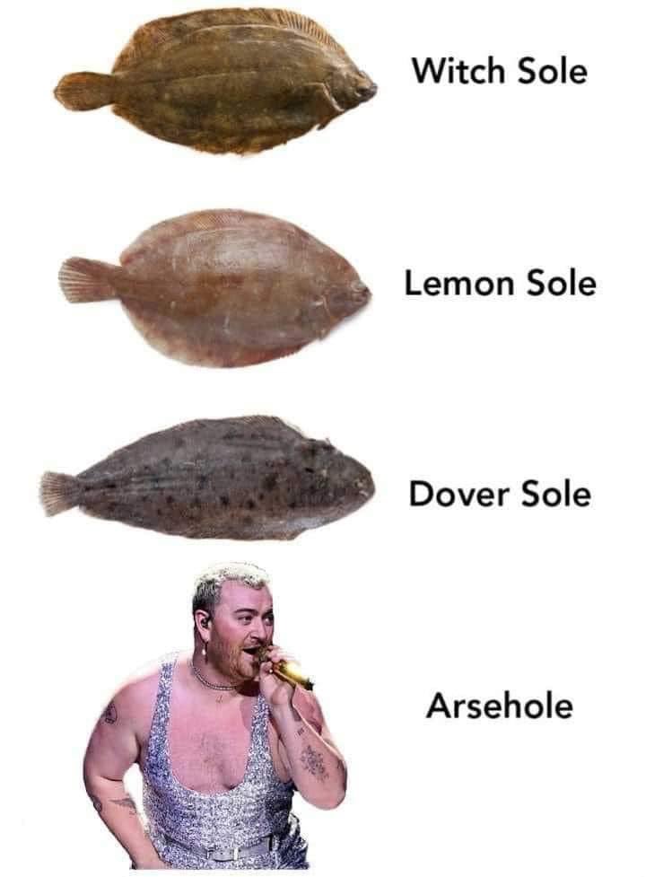 Vix🦊 (@juicylu14) on Twitter photo 