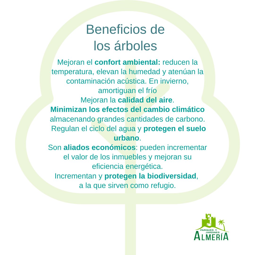 🌳 Los árboles nos aportan muchos beneficios en nuestra vida diaria.

Por eso es importante su cuidado y mantenimiento también en las ciudades, porque nos ayudan a tener un aire más limpio y menos contaminado.✅

<a href="/aytoalm/">Ayuntamiento de Almería</a> 
#EconomíaCircular #JardinesdeAlmería 🏰