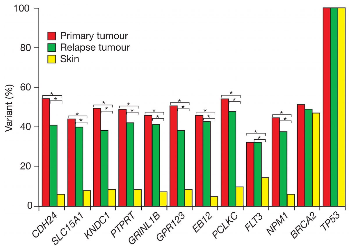 Haematologica's tweet photo. #LandmarkPaper: our approach to the study of the #cancergenome changed in 2008 with the first human #acutemyeloidleukemia genome ever fully sequenced and published in Nature.
https://t.co/lDDH3xa5Yt https://t.co/GMBEQVDXx3
