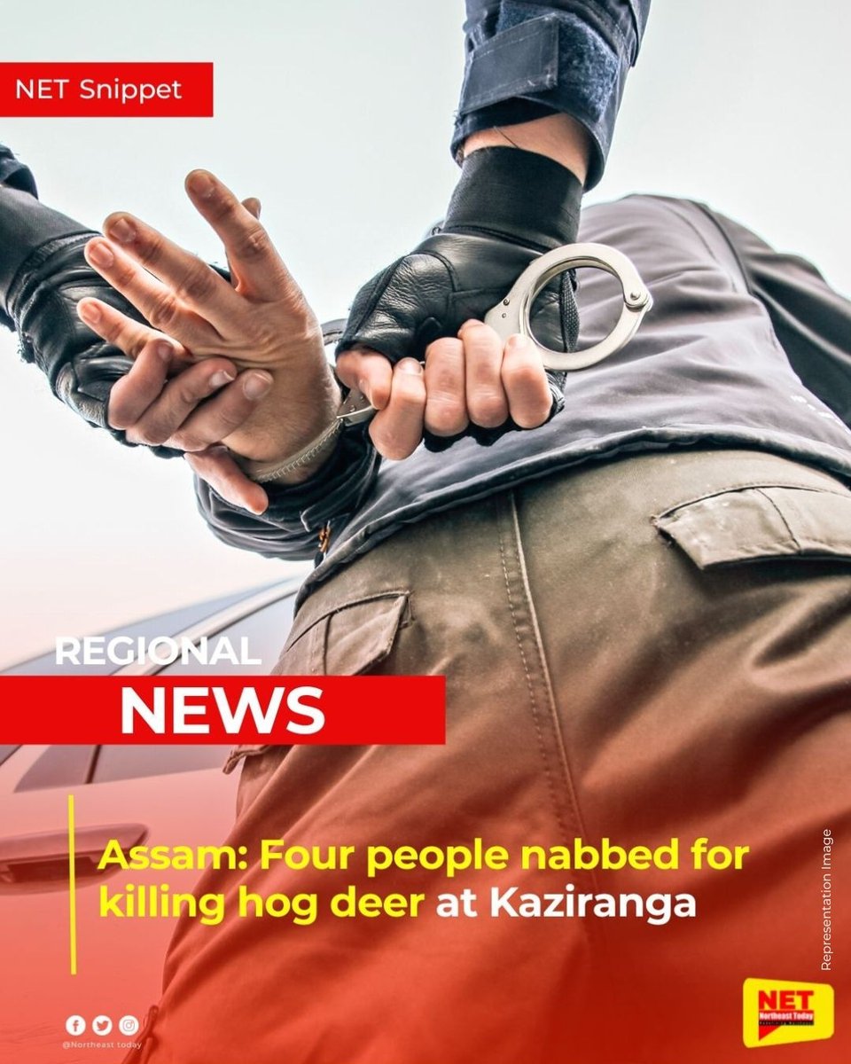 NortheastToday's tweet photo. #Assam | Four people were arrested for allegedly killing a hog deer at the Kaziranga National Park in Assam, a statement said on Thursday.
#hogdeer #killing #accusedarrest #KazirangaNationalPark #NetSnippet #NortheastToday https://t.co/Dwp1FoInqQ
