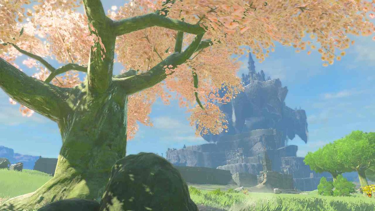 DarkAssassin860's tweet photo. #TearsOfTheKingdom #Zelda #NintendoSwitch https://t.co/btrHUdzk0J