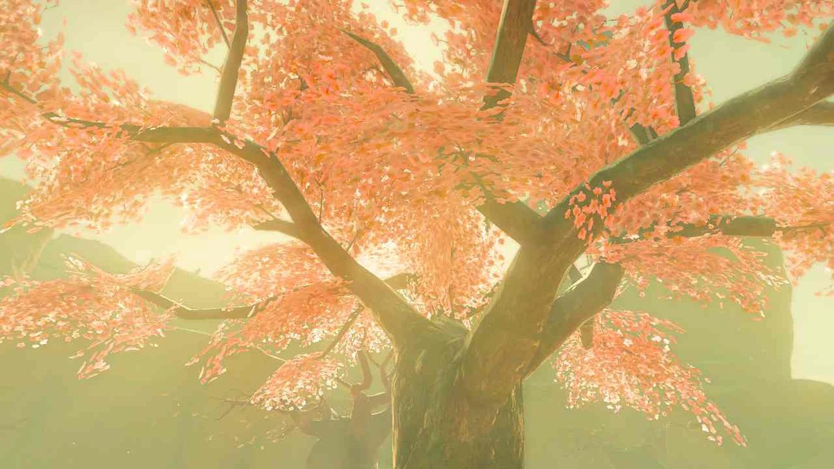 DarkAssassin860's tweet photo. #TearsOfTheKingdom #Zelda #NintendoSwitch https://t.co/f5q4yt05Xq
