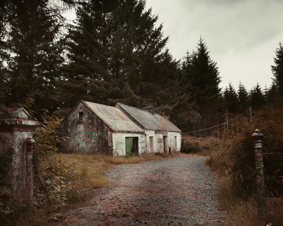 Some images from Ireland (Forgotten Homes Project)  

davekaipiper.com/Journal/The-Fo…