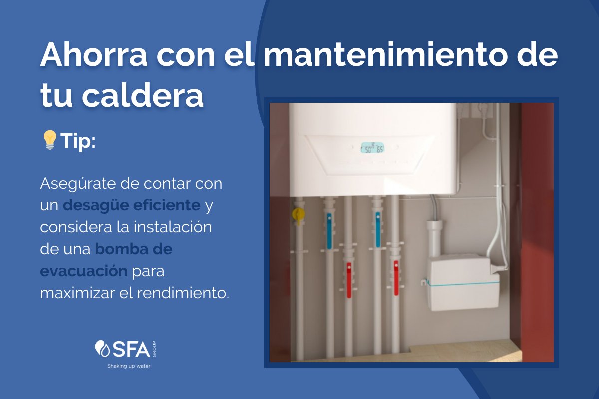 ¿Sabías que un mantenimiento adecuado de tu caldera de condensación puede ahorrarte hasta un 30% de energía?

Tanto en invierno como en verano, la caldera es un equipo vital para tu hogar.

En SFA te ofrecemos productos de calidad y el asesoramiento que necesitas.