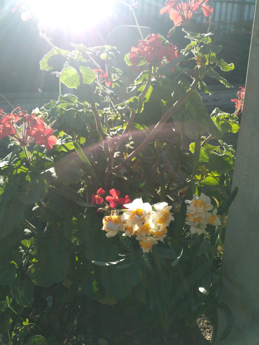 Good morning beja WC beautiful view 😍😍😍<a href="/cwgc/">Commonwealth War Graves</a> <a href="/rejeb_ghassen/">Ghassen Rejeb</a>