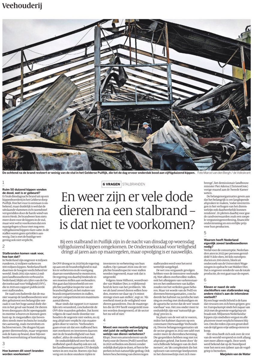 SiebelinkJeroen's tweet photo. Vraag 7. Waarom staan we het de kippenhouder toe te besparen op sprinklers? Vindt hij de uitkering van zijn verzekering interessanter dan het welzijn van zijn bloedjes van dieren? Stemmen we op zijn slippendragers in de politiek en kan het ons verder niks kan schelen? https://t.co/J90TdQ6TsY