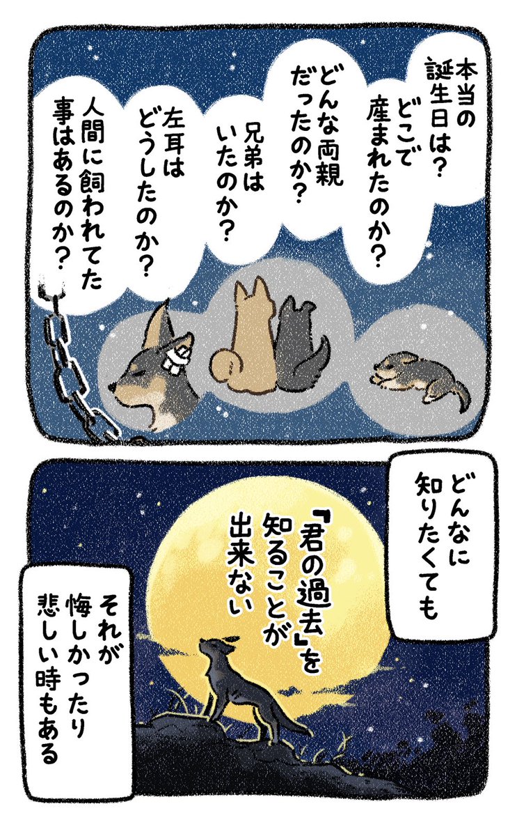 Happy Birthday🎉
#漫画が読めるハッシュタグ 