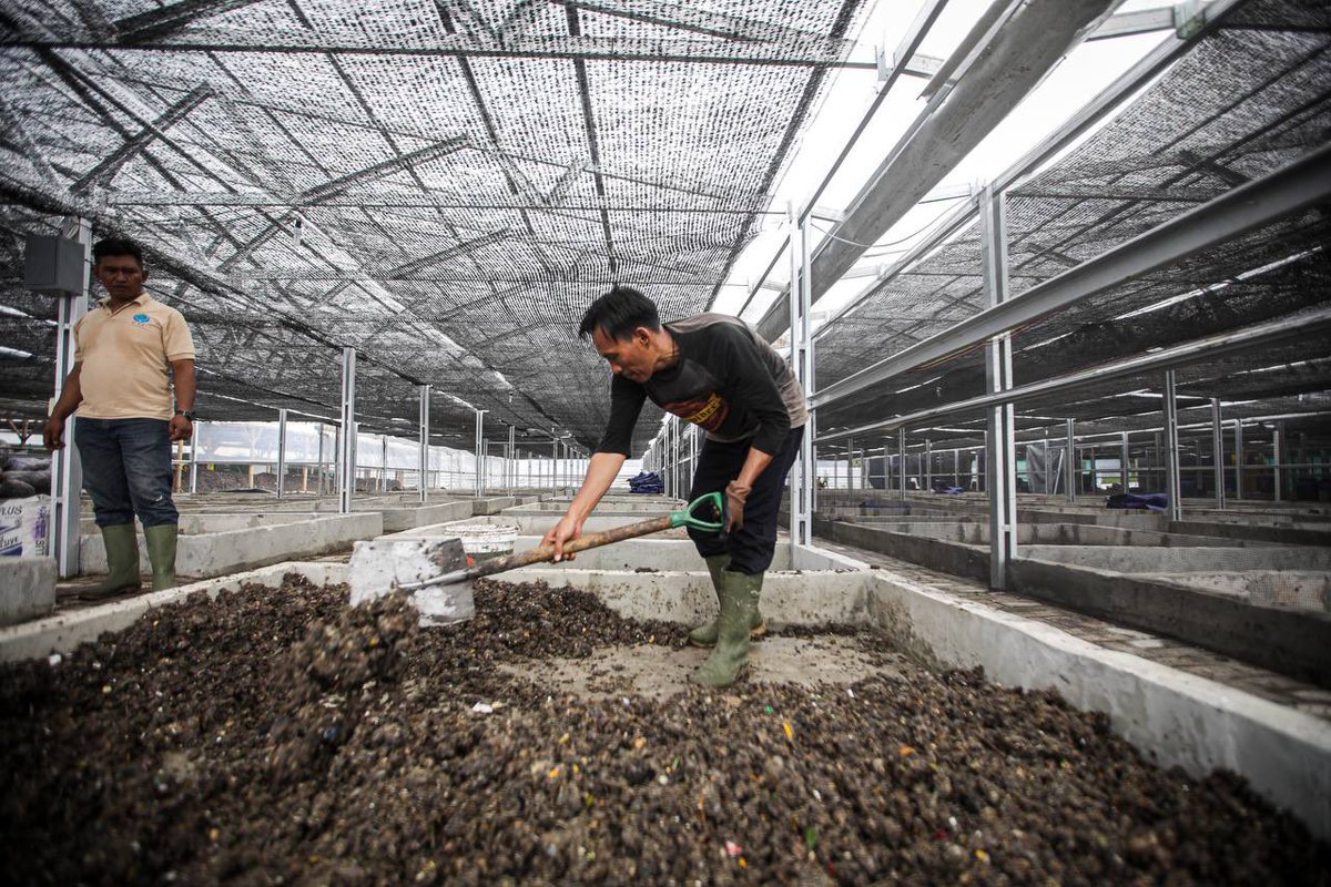 Pemkot Bandung terus mengupayakan Tempat Pengolahan Sampah Terpadu Gedebage lebih optimal dalam menangani sampah. 

Sekda Kota Bandung, Pak Ema Sumarna meninjau TPST Gedebage, menyampaikan saat ini TPST Gedebage baru bisa mengolah sekitar 15 ton sampah dari target 60 ton sampah.
