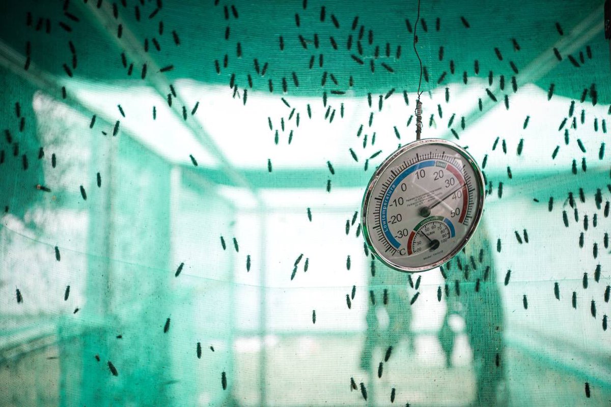 Oleh karena itu, pasar-pasar tradisional di wilayah Kordoba (Pasar Kordon, Pasar Ciwastra, Pasar Induk Gedebage, dan Kiaracondong) didorong mendistribusikan sampah organiknya ke TPST ini.