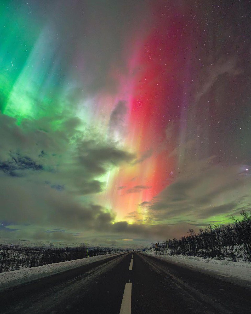 nritravelogue's tweet image. Mesmerizing swirls of color paint the Swedish sky – a breathtaking dance of the Northern Lights! 🌌✨ #NorthernLights #SwedishSky #AuroraMagic