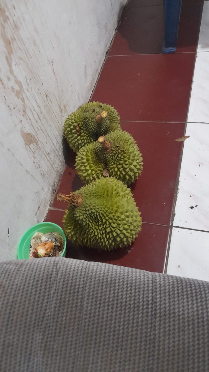 deverizaldi14's tweet photo. Nduren enak https://t.co/JD7r7xlhAD
