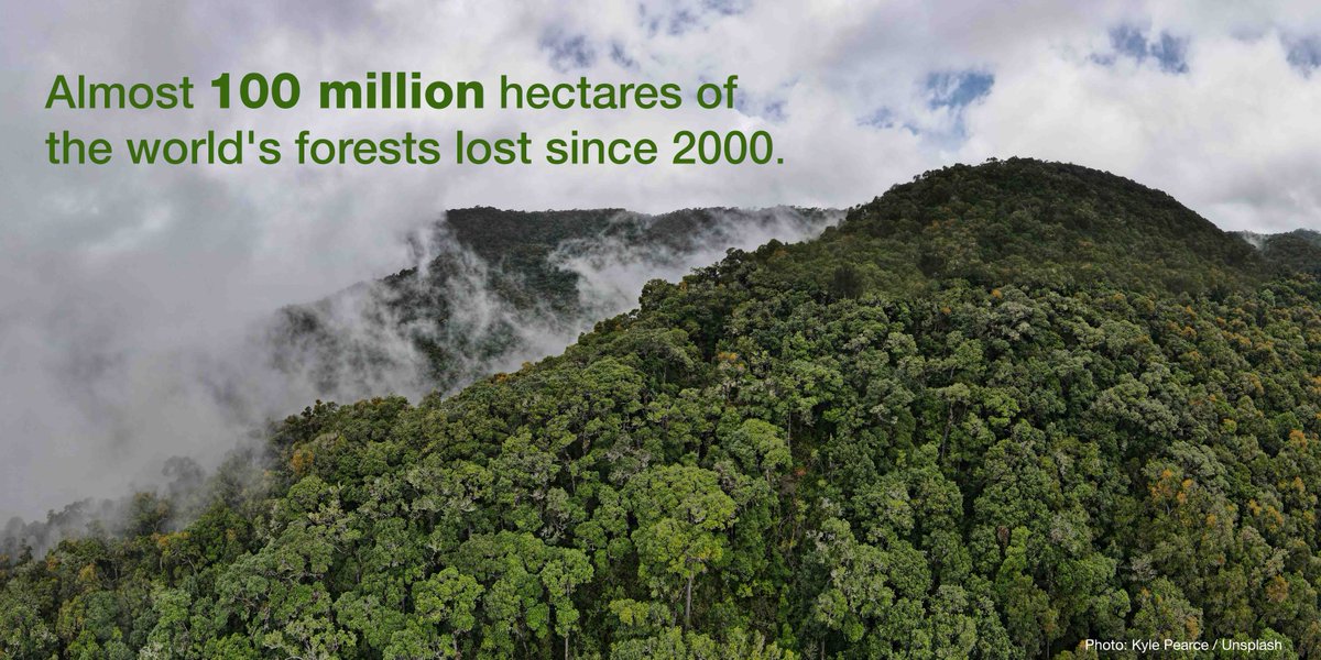 IUCN's tweet photo. Restoring ecosystems gives us a chance at a healthier future.

It’s time to rebuild what we’ve lost https://t.co/007FEjcshO

#RestorationDecade #GlobalGoals https://t.co/Zn9JJZ9hTH