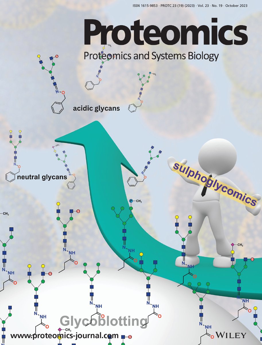 Analysis of N‐ and O‐linked site‐specific glycosylation by ion mobility mass spectrometry: State of the art and future directions …iencejournals.onlinelibrary.wiley.com/doi/10.1002/pm…

---
#proteomics #prot-paper