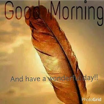 IndigeNFT tweet media