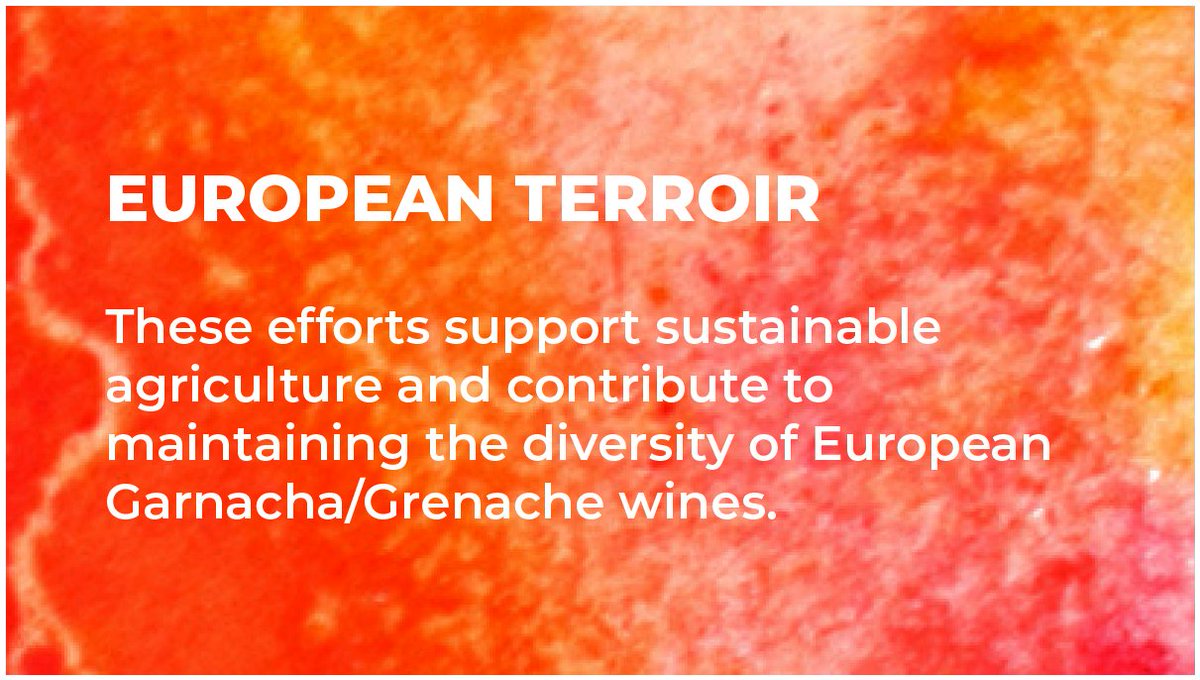 European Garnacha/Granache wines promote the places to which they belong and practice sustainable agriculture, giving all their varieties a high quality flavor, unique in the world.

#EuropeanQualityWines #EnjoyitsfromEurope #GarnachaWine #GrenacheWine