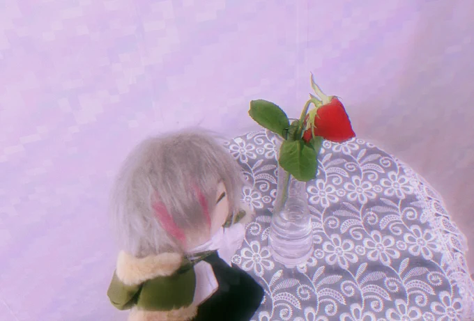 うちのこぬい