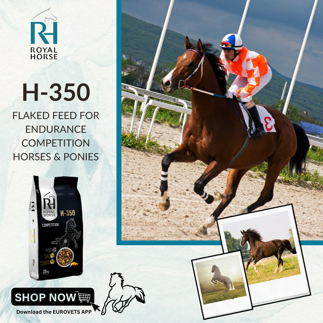 eurovetsworld's tweet image. Elevate your horse's performance with Royal Horse H350! 🐎
Specially crafted to provide the perfect blend of nutrition, stamina, and vitality 💪🌿
#EquestrianElite #PerformanceFuel #royalhorse #horserace #horsesofdubai🏇🌟
Download product data sheet for FREE on #Eurovets App 📲