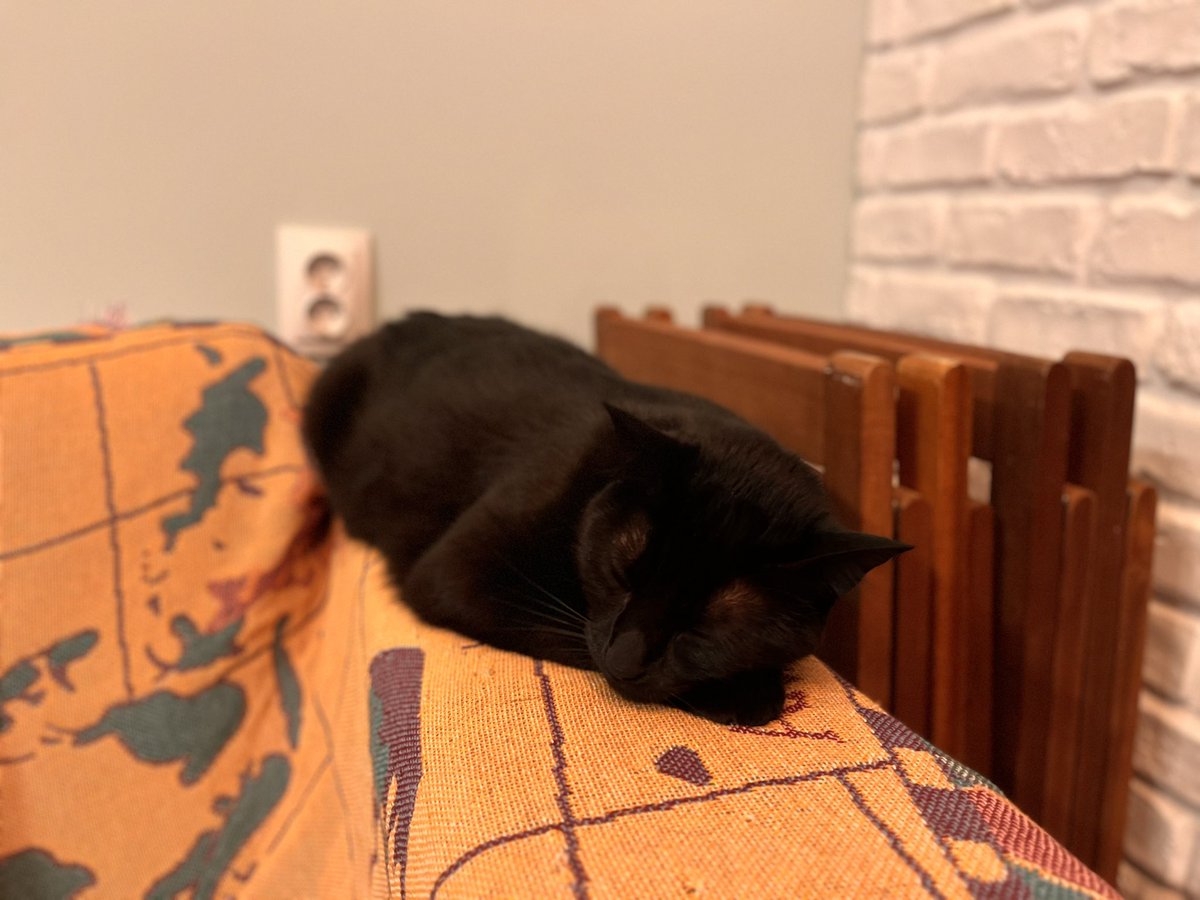 Голям спящ черен дюнер?