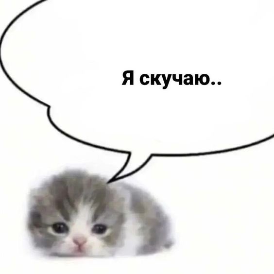 nst1957's tweet photo. Что тут еще сказать https://t.co/nc95ho6ilt
