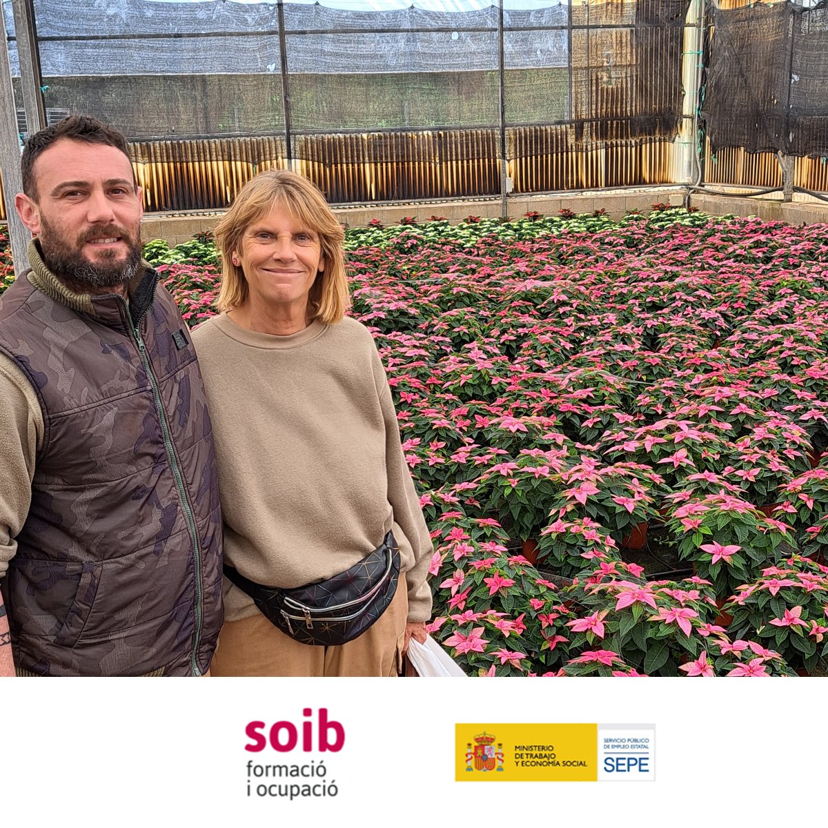 EstelDeLlevant's tweet photo. Visitam els Planters i Ornamentals Nicolau amb l'alumnat de #FormacióDual del programa #SOIB #DUAL #VULNERABLES #SOIBDual per conèixer com produeixen plantes ornamentals i llavorers d'hort de Mallorca, tot fet allà mateix!
Amb el suport de @SOIBgoib i @empleo_SEPE https://t.co/r3xfqwxRrb