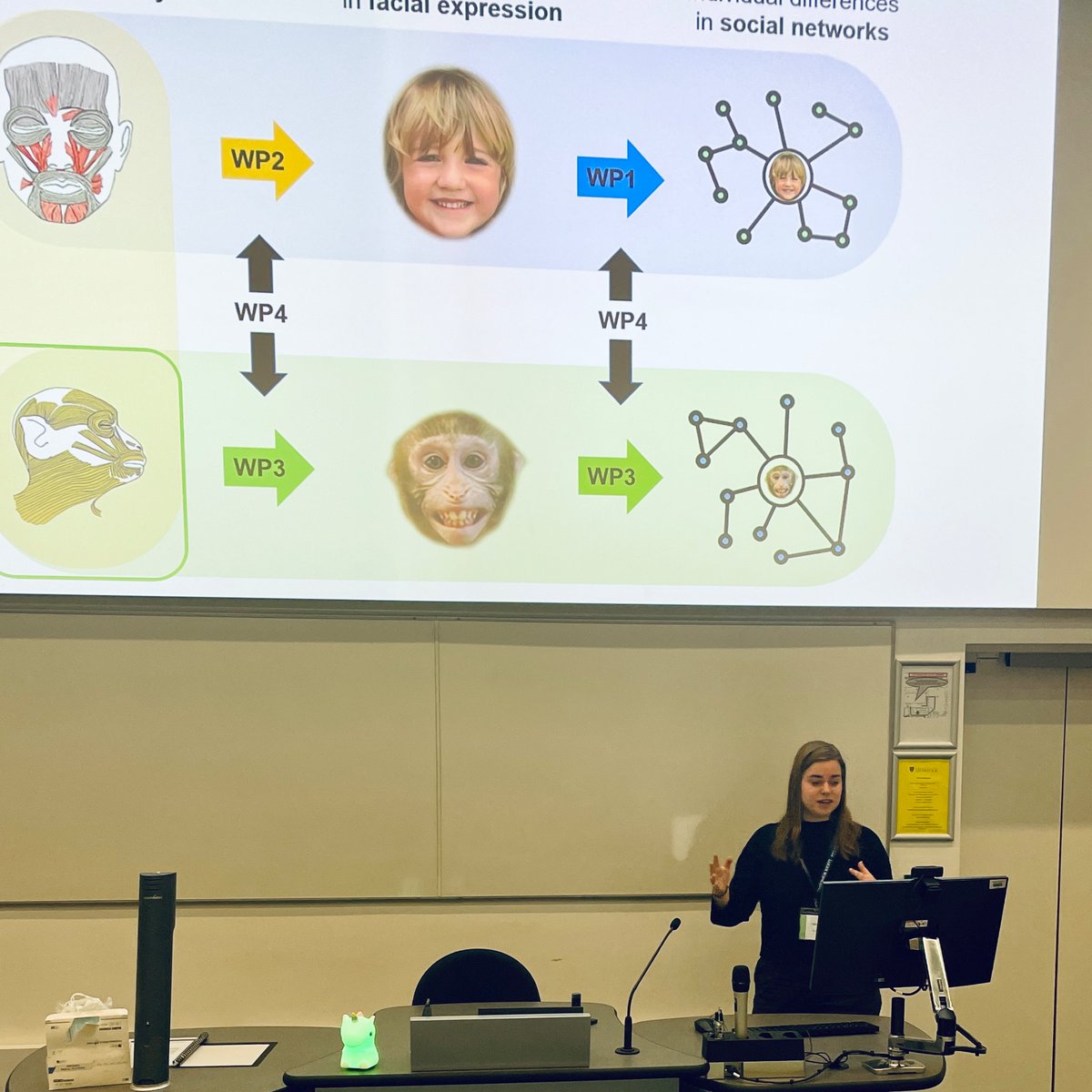 We are now hearing from Clare Kimock. Clare’s research studies how variation in the facial muscles affects facial behaviour in primates. #anatsocwinter
