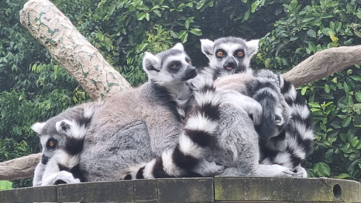 Went to the zoo today, it was pretty neat getting pics like this