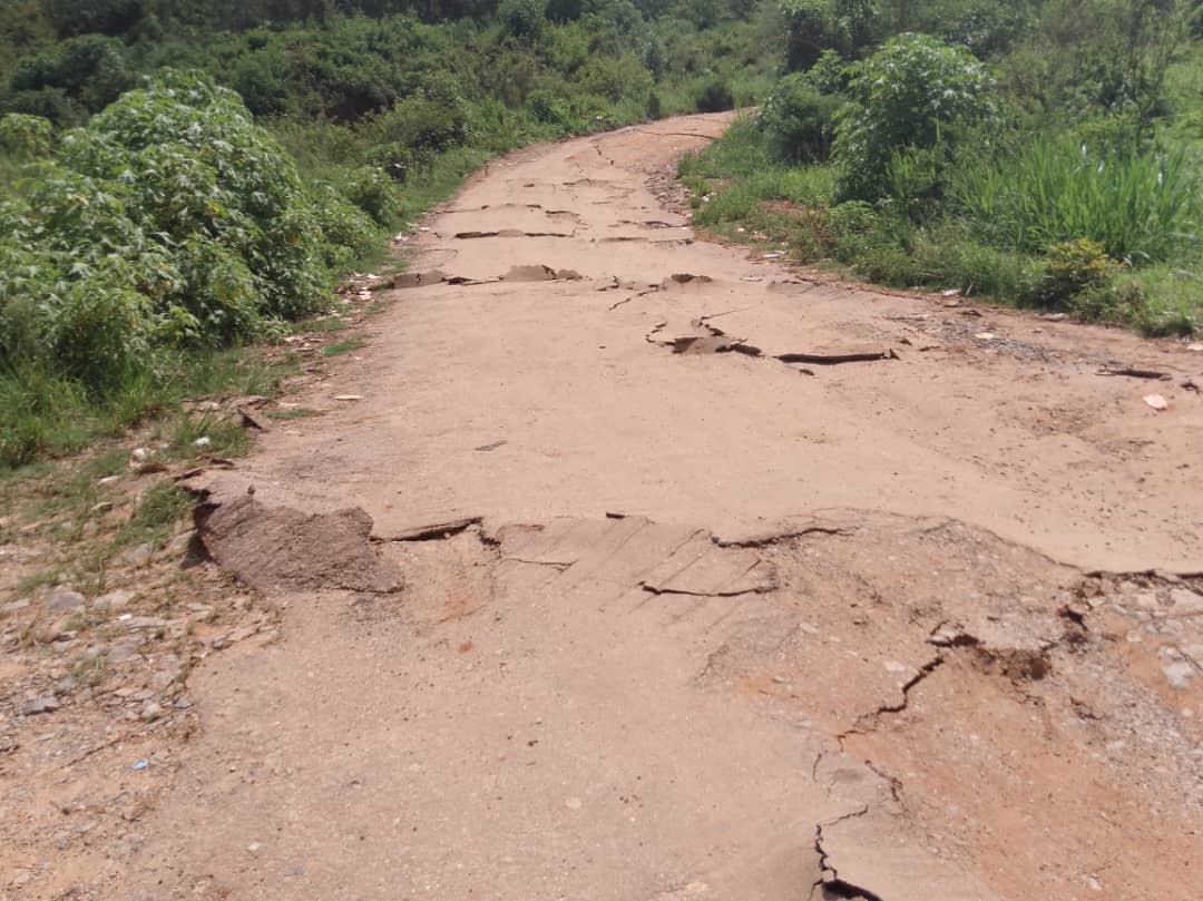 CRD ZIMBABWE tweet media