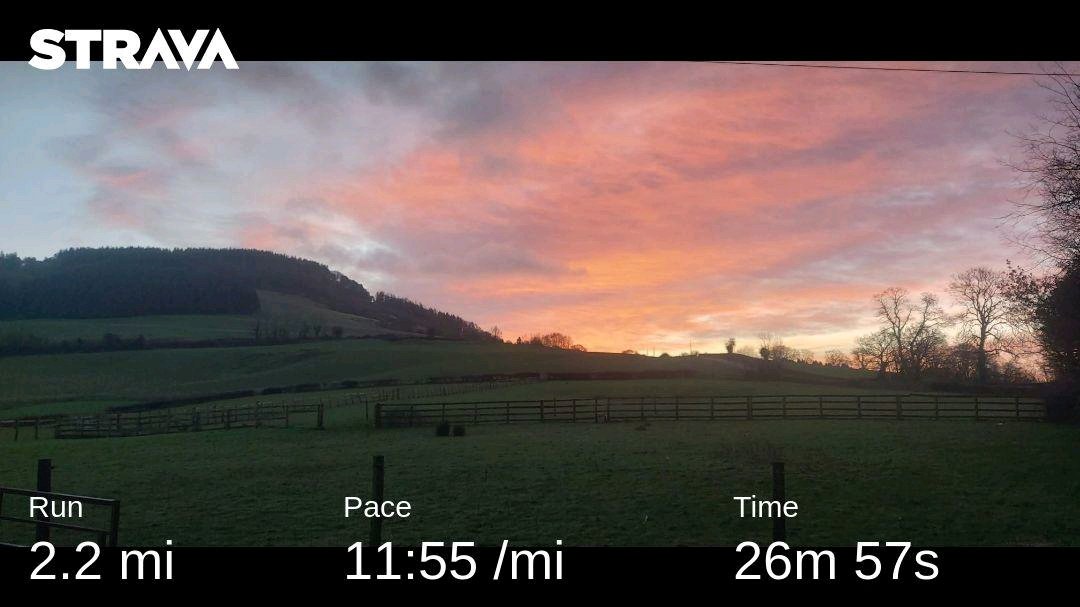 Emma Robinson tweet media