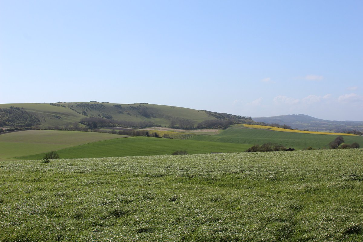 CLASouthEast's tweet image. As part of the launch of the Local Nature Recovery Strategy in Kent, Making Space for Nature is hosting a number of online briefing sessions for farmers. More info here, including booking for an event on Jan 10 : makingspacefornaturekent.org.uk/events/lnrs-on… #Kent #MS4N #CLA @CLAtweets