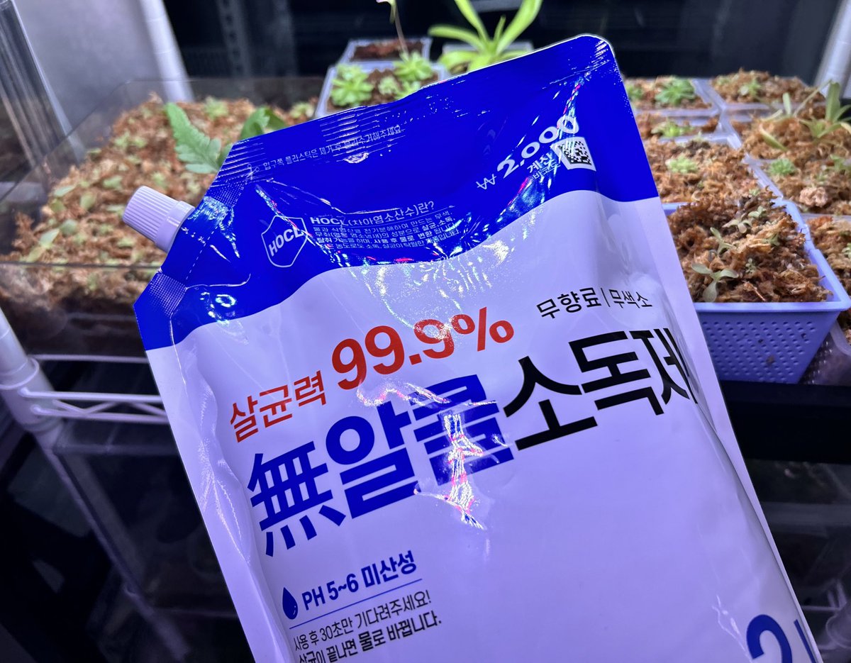 kimguguen's tweet photo. 다이소 털어왔구요. 또 차아염소산수 사왔습니다. 2000원이라 가격도 싸고 필수구매템입니다. 극단적으로는 물 대신 줘도 괜찮을 정도인데 곰팡이가 싹 가셔요!🦠🏥 https://t.co/K7xlKK1x6I