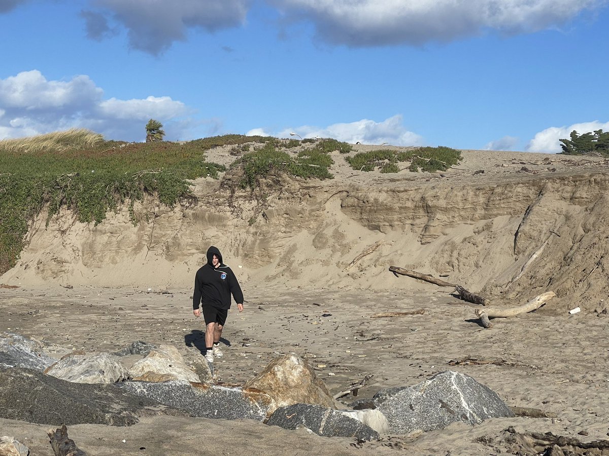 Patrick Lynett tweet media