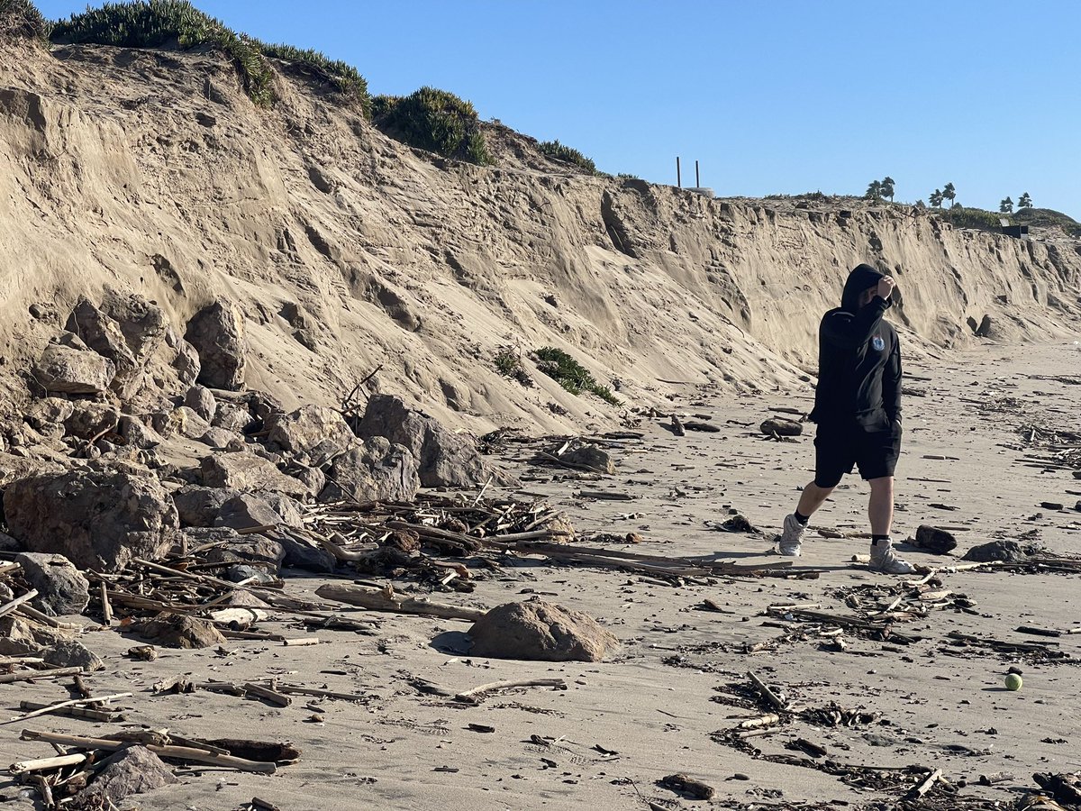 Patrick Lynett tweet media