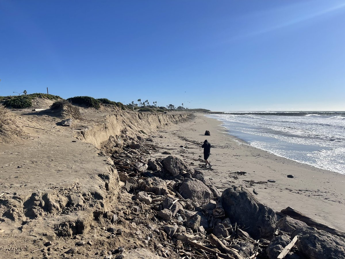 Patrick Lynett tweet media