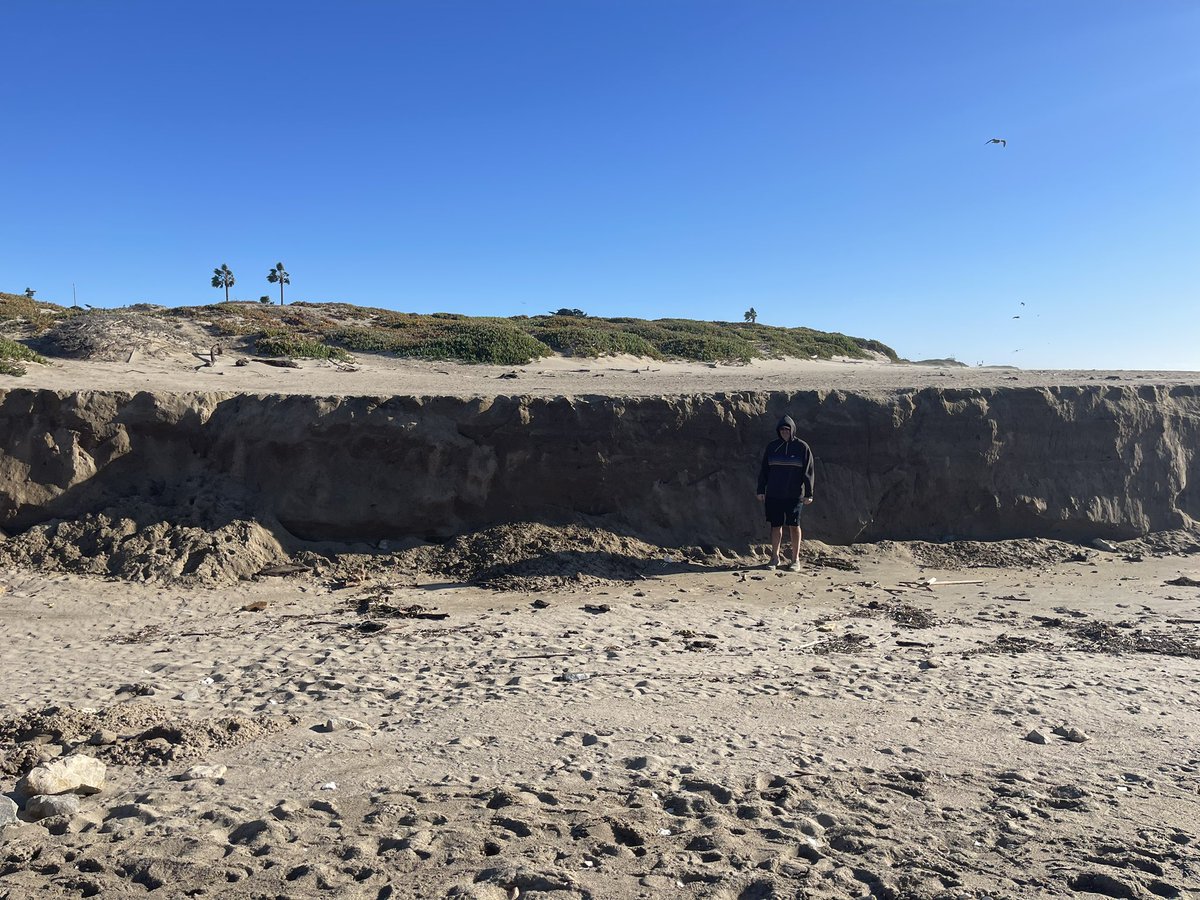 Patrick Lynett tweet media