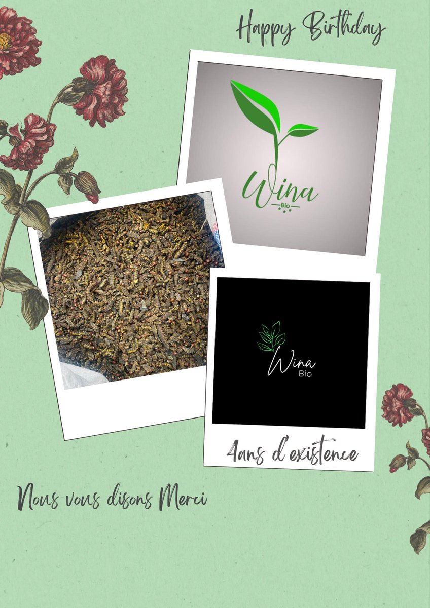 wina_bio's tweet photo. Merci à vous🎊 https://t.co/mokwDbzao1
