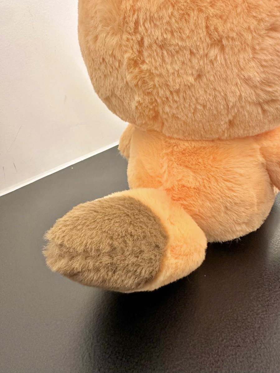 ʚ🦊ɞ