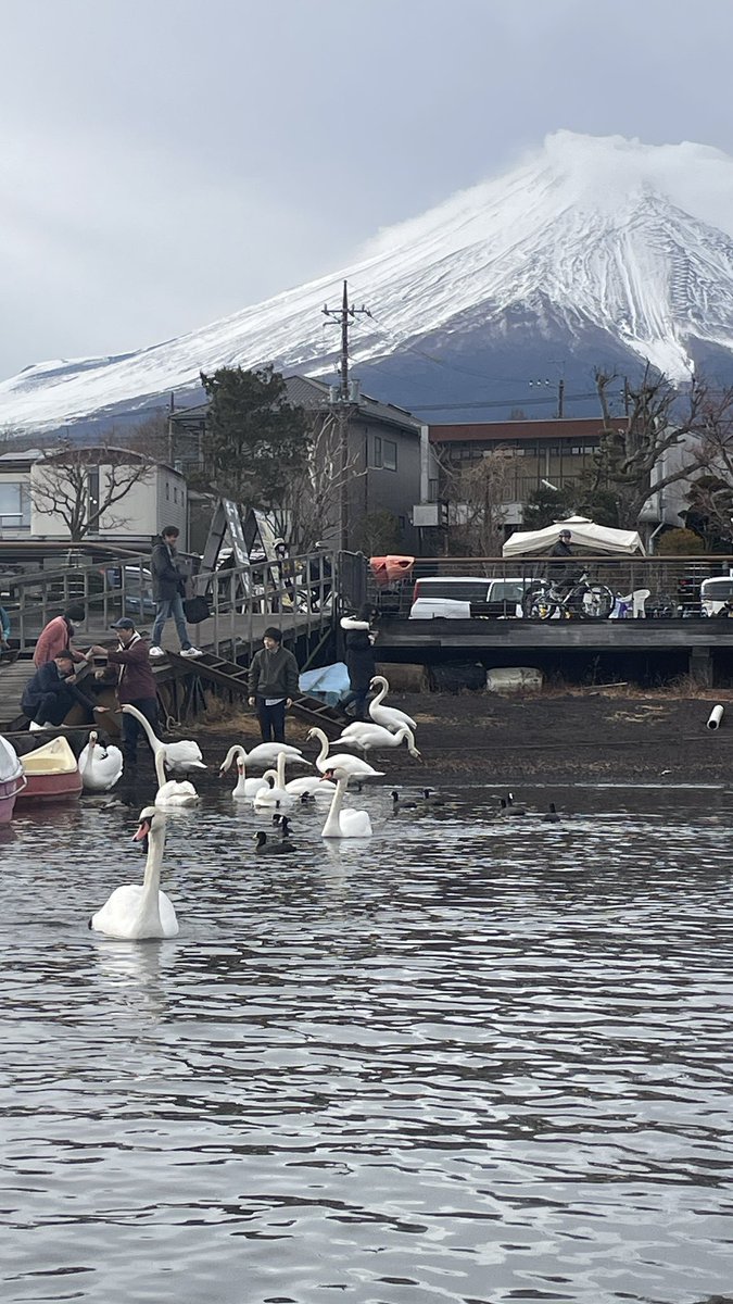 Lobrit1's tweet photo. 富士山下に https://t.co/nNTrIs0j2g