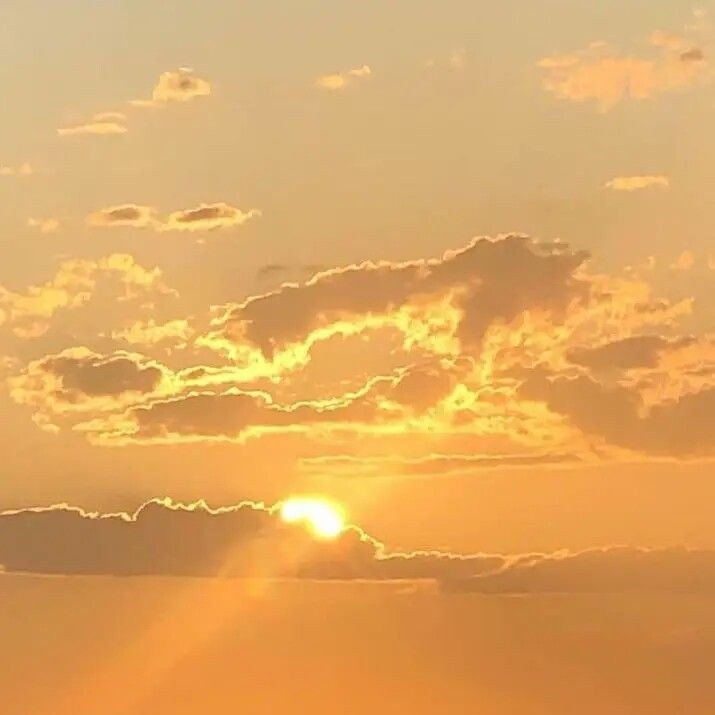 𝐂𝐡𝐚𝐫𝐥𝐨𝐭. tweet media